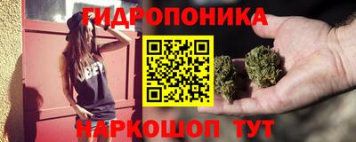 ГАЛЛЮЦИНОГЕННЫЕ ГРИБЫ Свободный