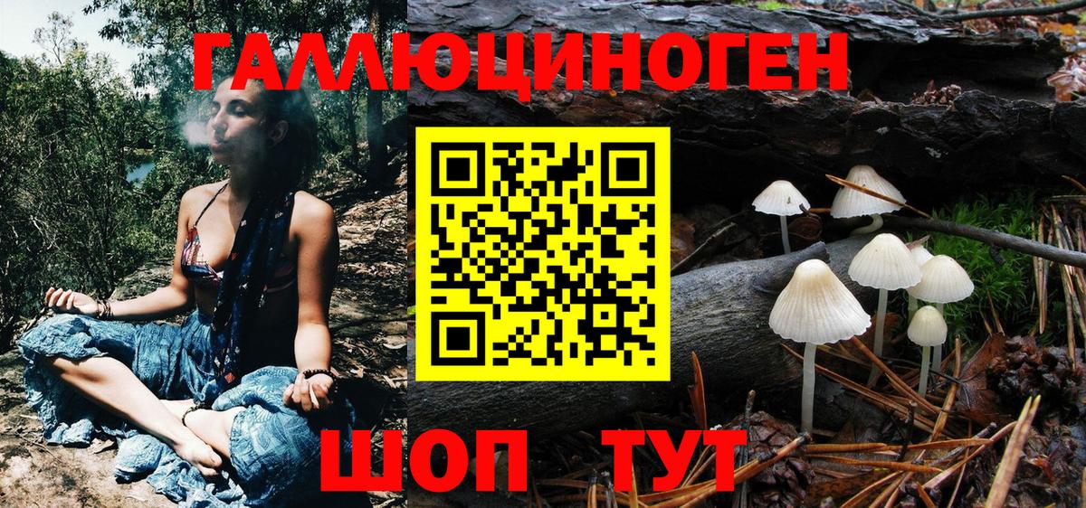 ГАШ Новосибирск