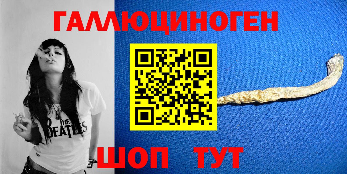 Новосибирск  Псилоцибиновые грибы Cubensis  Вход с VPN 